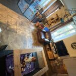 chiot jack russel sociabilisé sociabilisation socialisé socialisation élevage familial