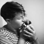 chiot jack russel sociabilisé sociabilisation socialisé socialisation élevage familial