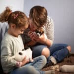 chiot jack russel sociabilisé sociabilisation socialisé socialisation élevage familial