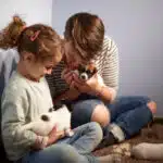 chiot jack russel sociabilisé sociabilisation socialisé socialisation élevage familial