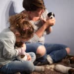 chiot jack russel sociabilisé sociabilisation socialisé socialisation élevage familial