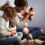 chiot jack russel sociabilisé sociabilisation socialisé socialisation élevage familial