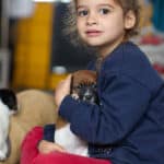 chiot jack russel sociabilisé sociabilisation socialisé socialisation élevage familial