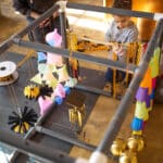 eveil chiot berger australien élevage