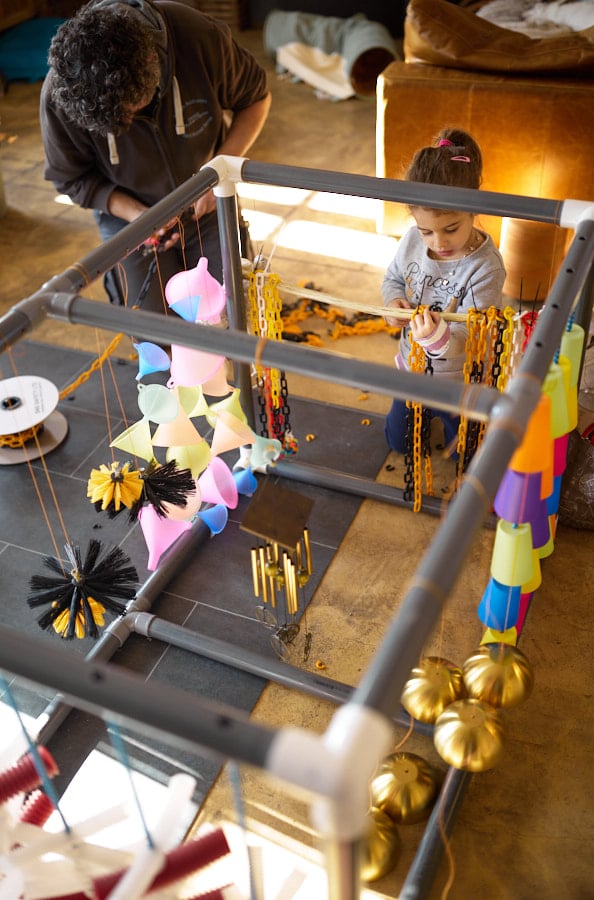 eveil chiot berger australien élevage