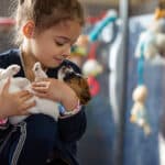 chiot jack russell elevage familial enfant socialisé sociabilisé sociabilisation socialisation équilibré