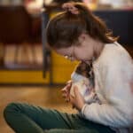 chiot jack russell elevage familial enfant socialisé sociabilisé sociabilisation socialisation équilibré