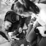 chiot jack russell elevage familial enfant socialisé sociabilisé sociabilisation socialisation équilibré