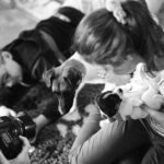 chiot jack russell elevage familial enfant socialisé sociabilisé sociabilisation socialisation équilibré