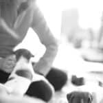 chiot jack russell elevage familial enfant socialisé sociabilisé sociabilisation socialisation équilibré