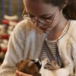 chiot jack russell elevage familial enfant socialisé sociabilisé sociabilisation socialisation équilibré