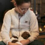 chiot jack russell elevage familial enfant socialisé sociabilisé sociabilisation socialisation équilibré
