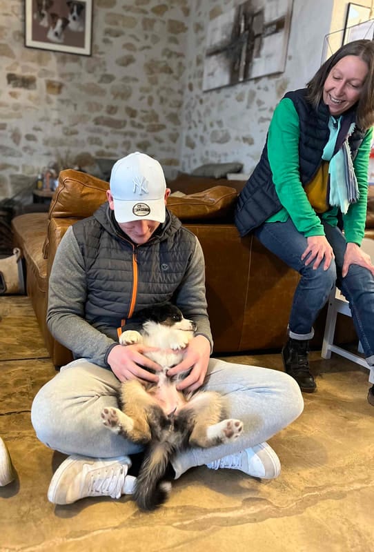 sociabilisation humain chiot berger australien