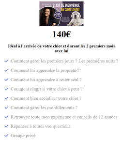formation accueillir son chiot berger australien arrivée