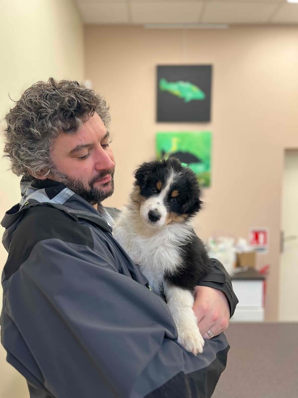 elevage chiot berger australien socialisation éveil équilibré programme visite vétérinaire