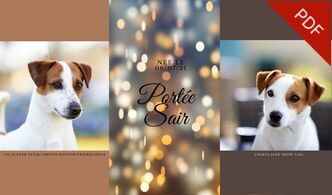 ELEVAGE jack russell accouplement mariage