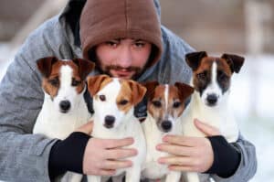 elevage austral et boreal