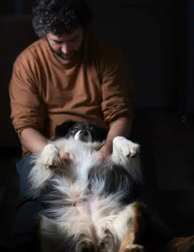 massage gestationnel chien