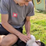 sociabilisation chiot