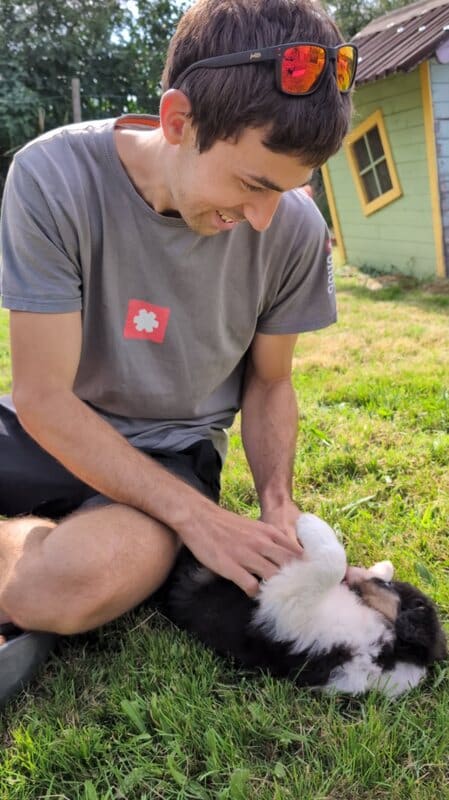 sociabilisation chiot