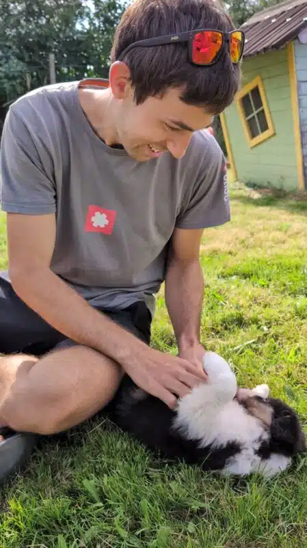 sociabilisation chiot