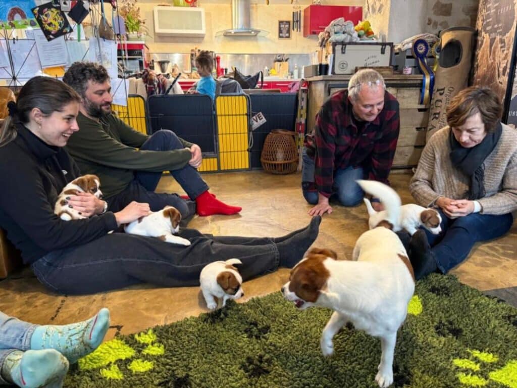 sociabilisation chiot