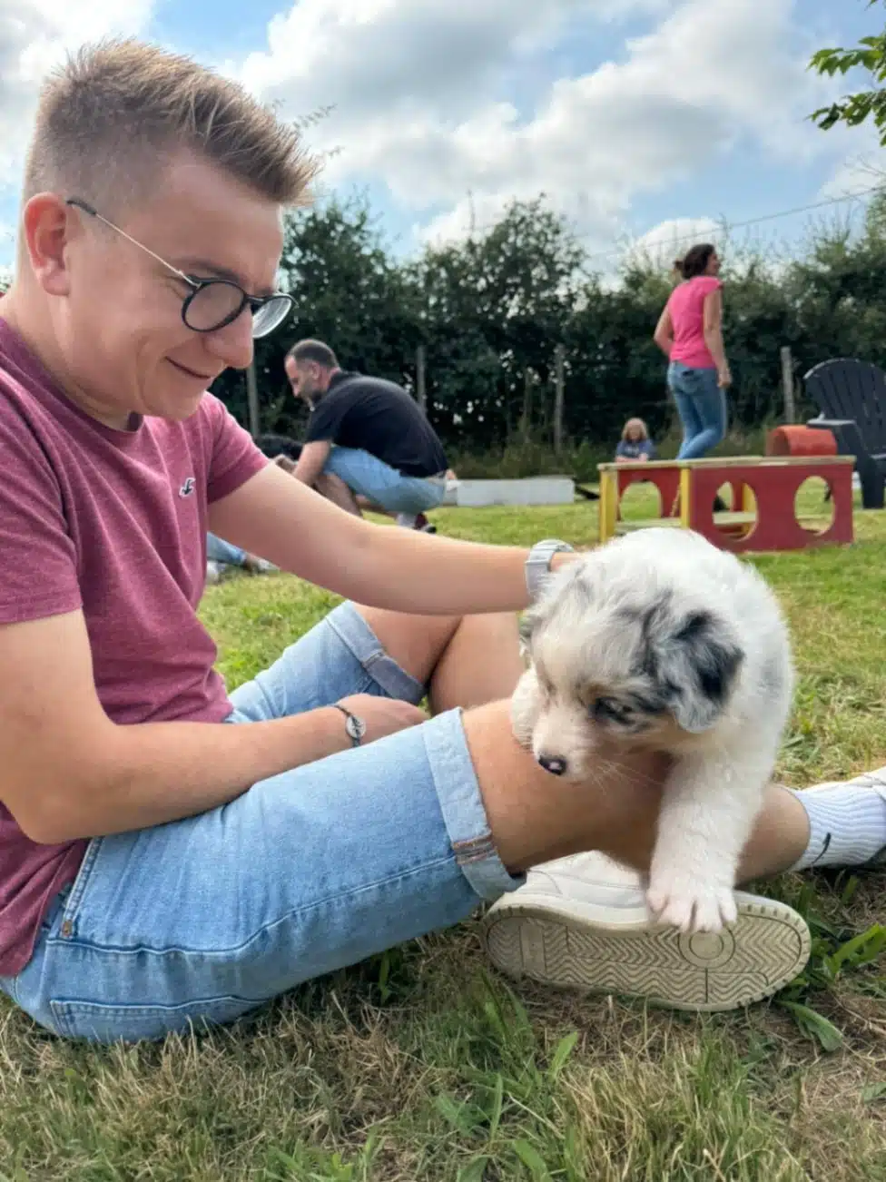 sociabilisation chiot