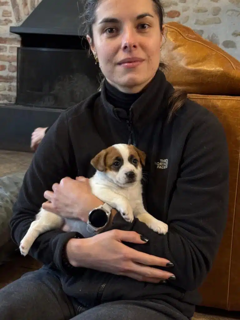 sociabilisation chiot