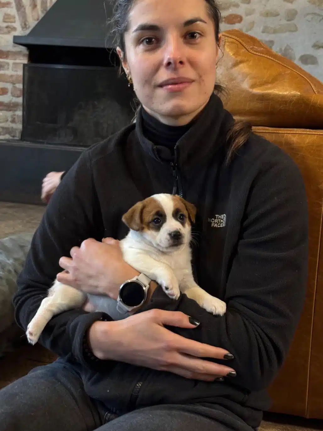 sociabilisation chiot