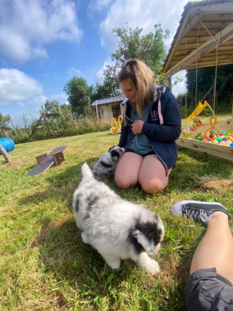 sociabilisation chiot