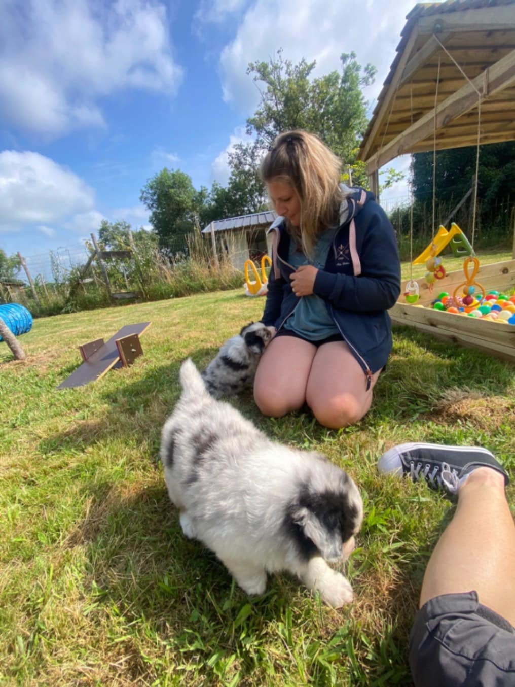 sociabilisation chiot