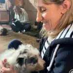 sociabilisation chiot