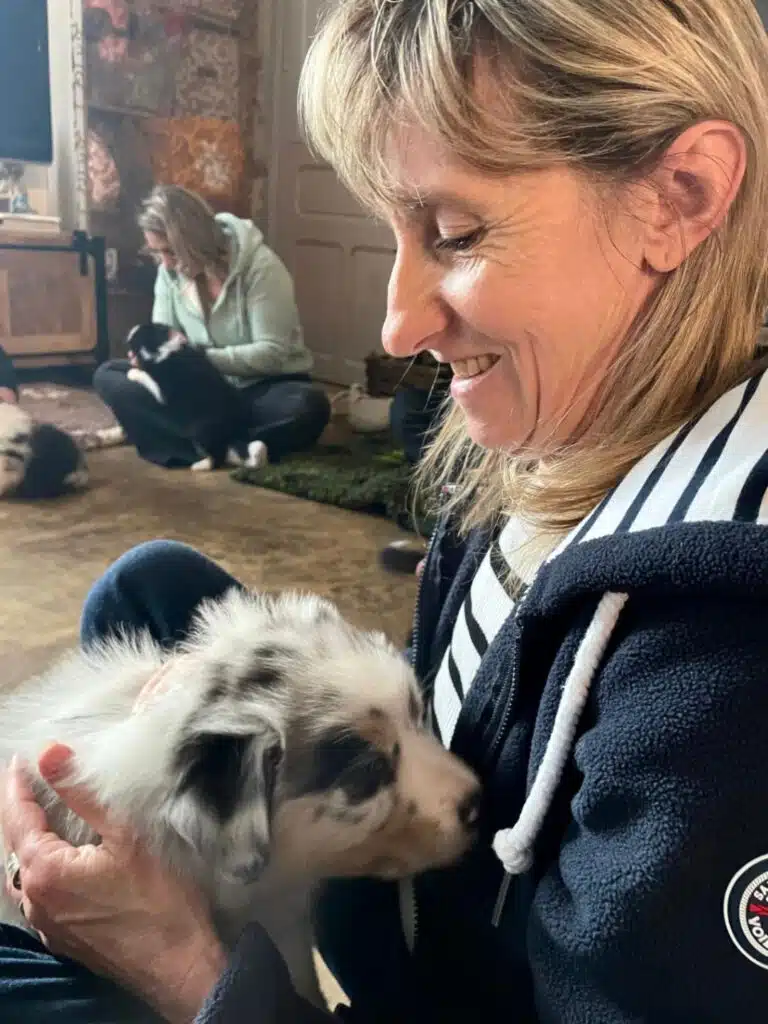 sociabilisation chiot