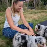 sociabilisation chiot