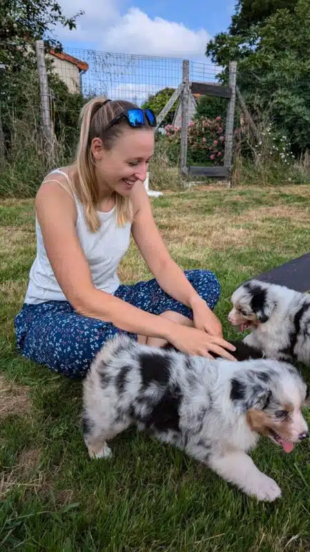 sociabilisation chiot