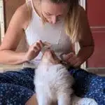 sociabilisation chiot