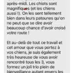 avis élevage berger australien