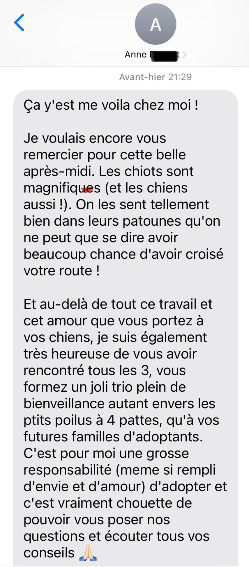 avis élevage berger australien