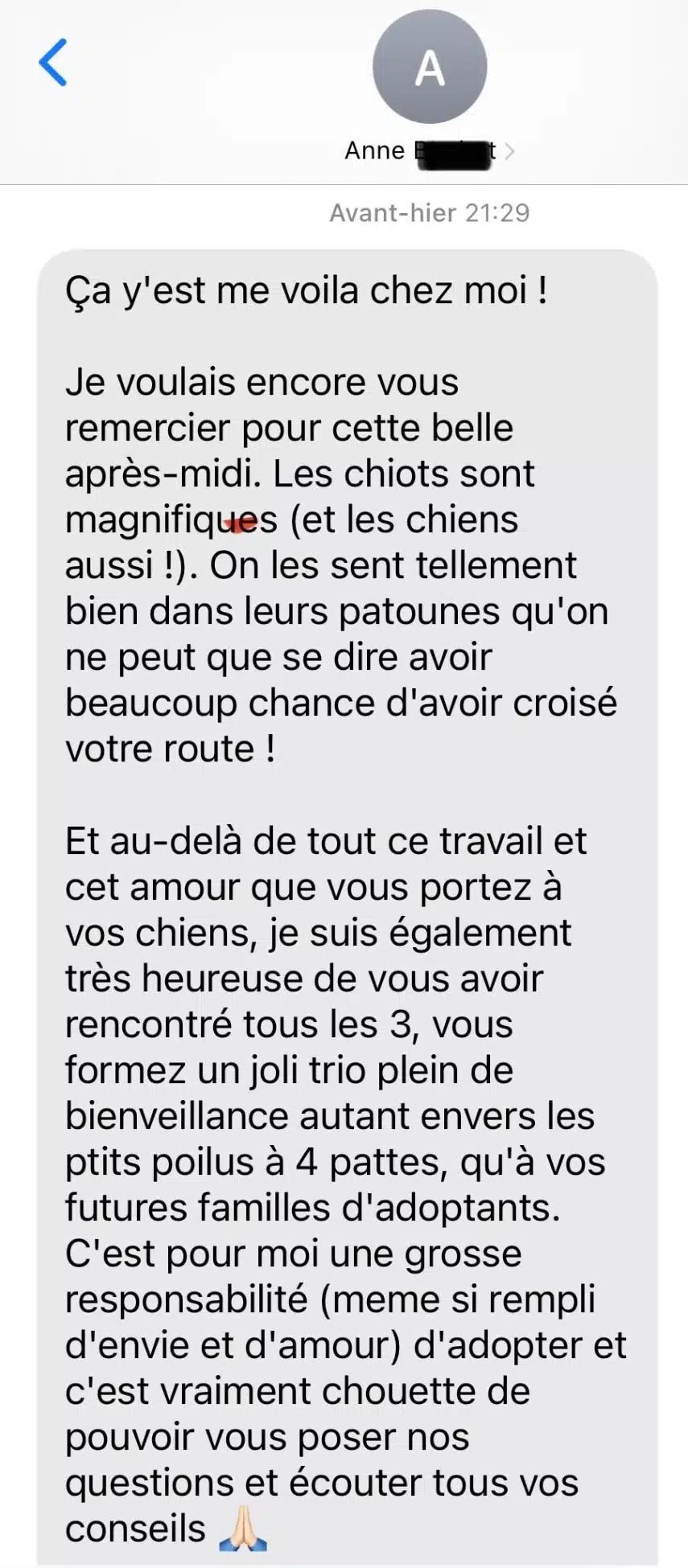 avis élevage berger australien