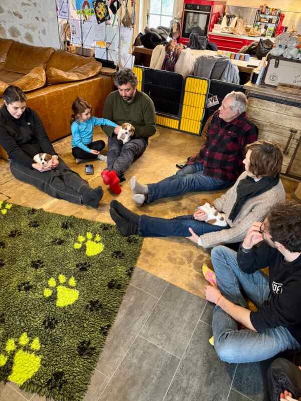 sociabilisation chiot