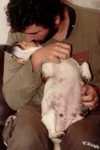 massages gestationnels chienne