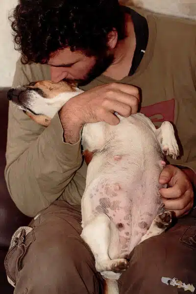 massages gestationnels chienne