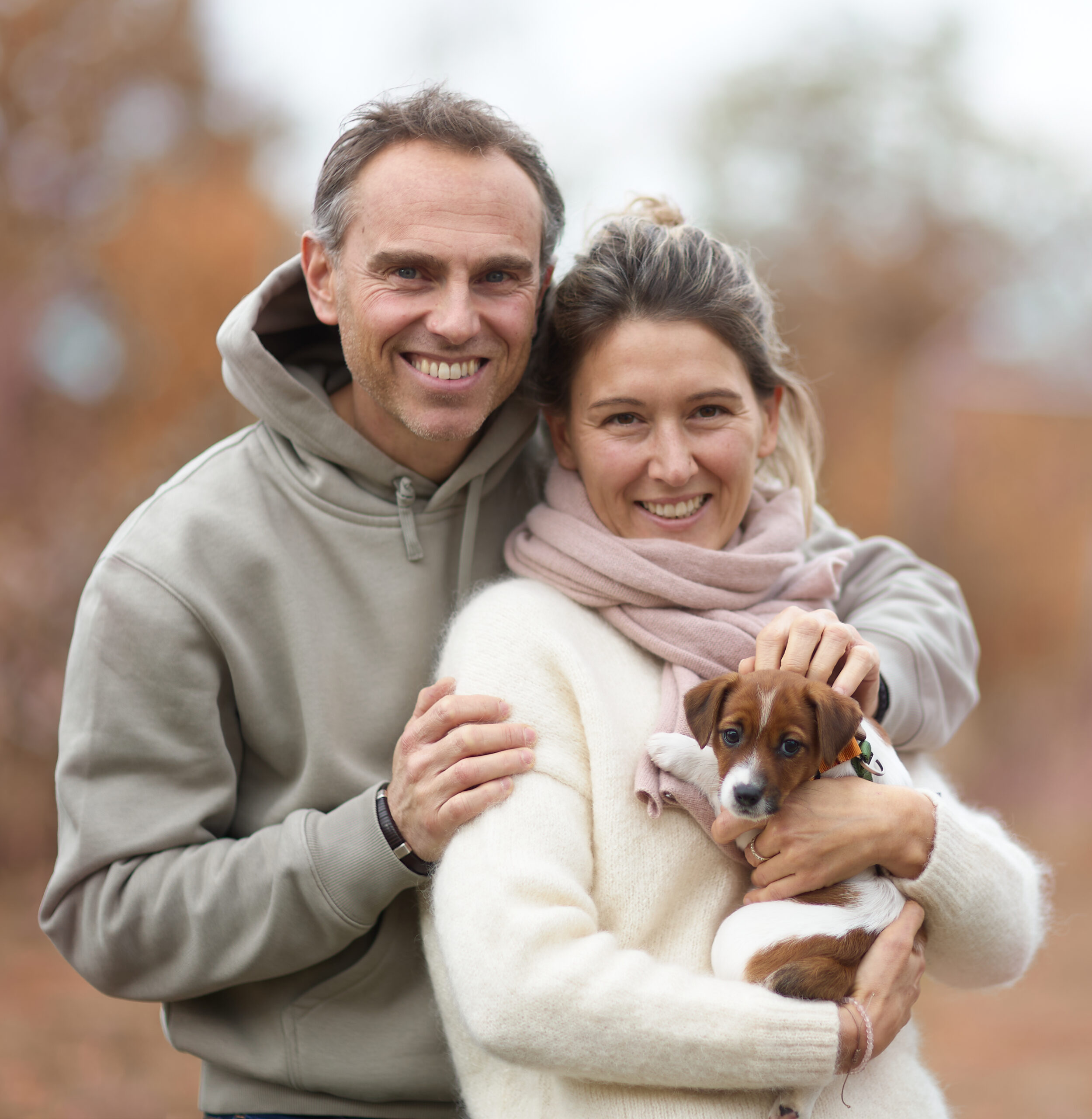 adoption jack russell