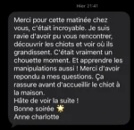 avis élevage berger australien