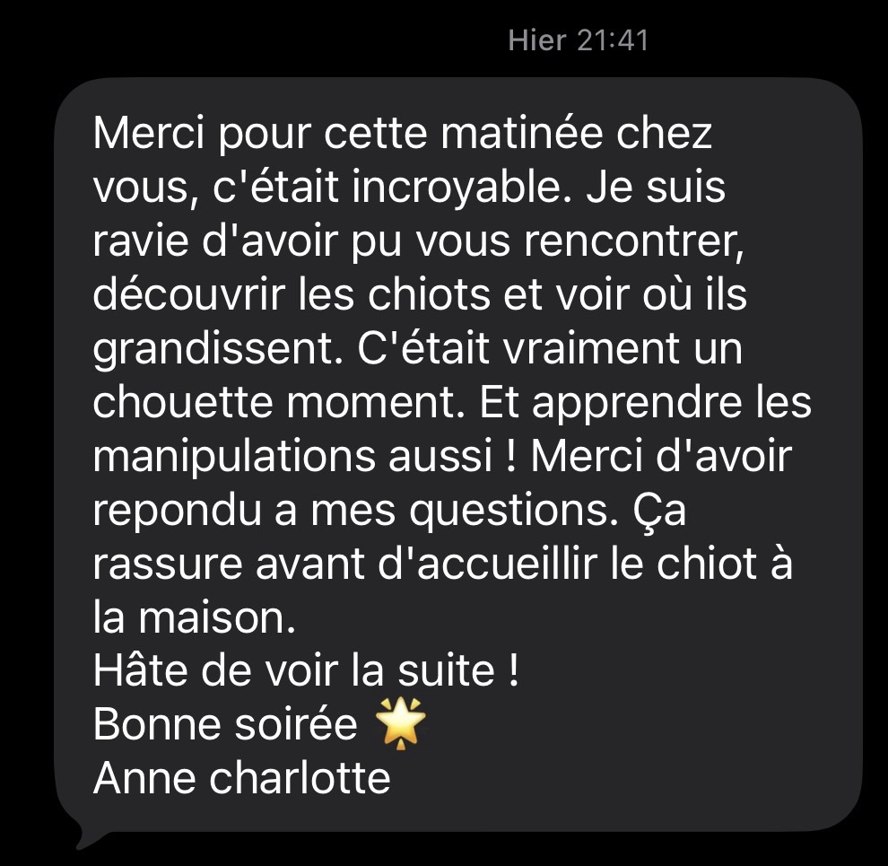 avis élevage berger australien