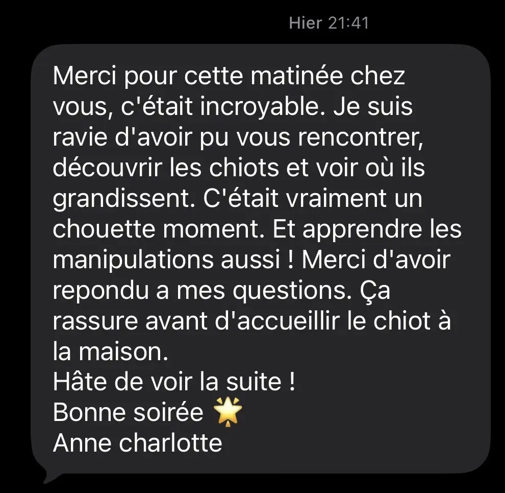 avis élevage berger australien