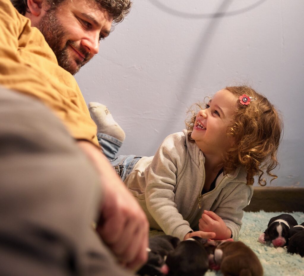 liste attente chiot berger australien