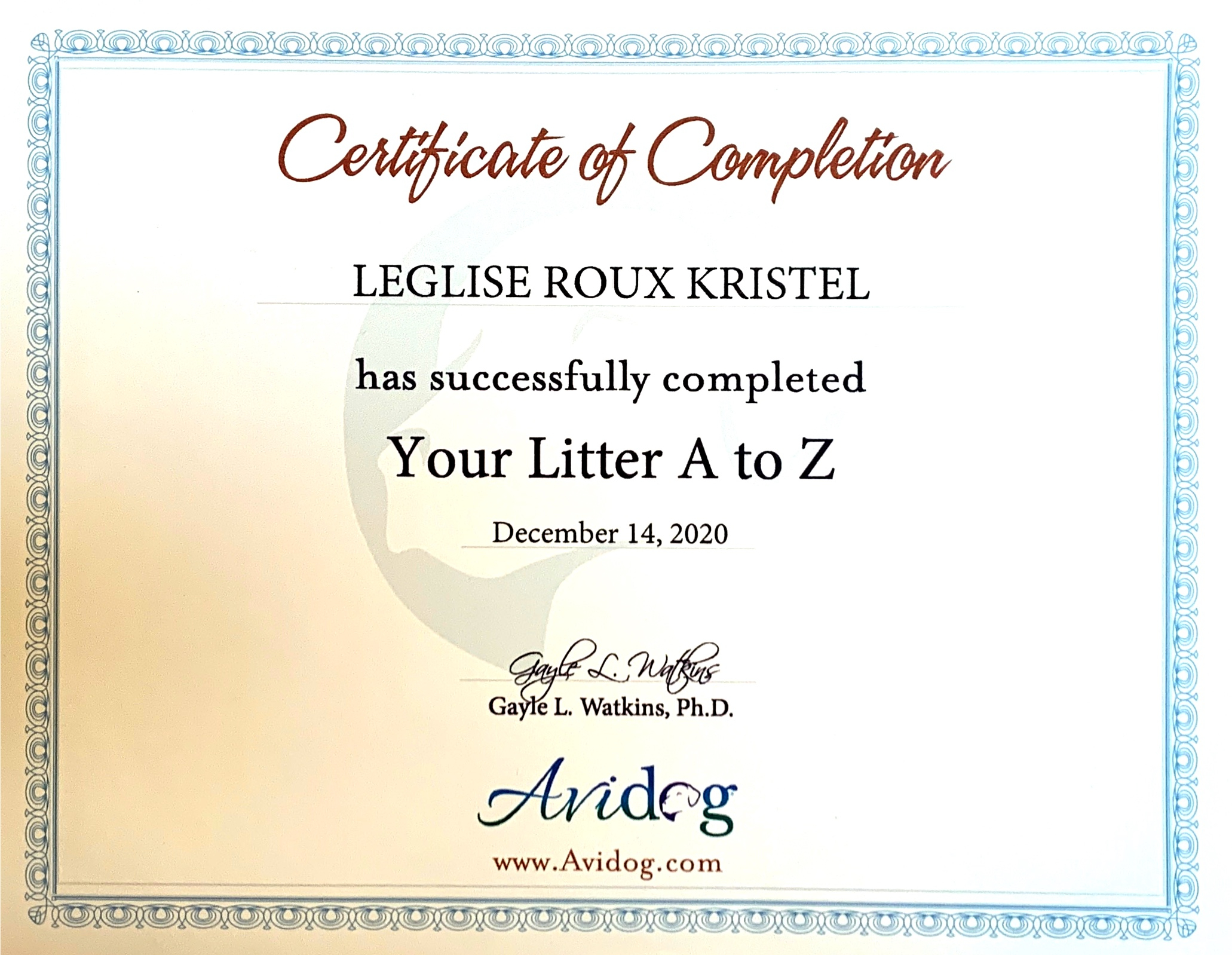 formation socialisation du chiot